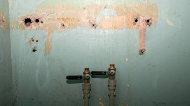 Best Water damage restoration mold remediation  in USA